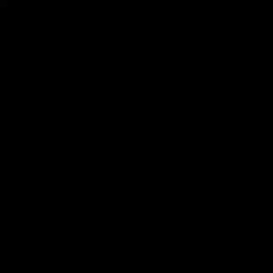 Meet your Posher, Raul